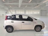  Fiat  Panda FIAT  2016 5P BERLINA 1.3 MJT 95CV SeS E6 EASY #7