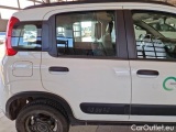  Fiat  Panda FIAT  / 2011 / 5P / BERLINA 1.3 MJT 95CV SeS E6 4X4 #40
