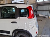  Fiat  Panda FIAT  / 2011 / 5P / BERLINA 1.3 MJT 95CV SeS E6 4X4 #48
