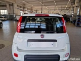  Fiat  Panda FIAT  / 2011 / 5P / BERLINA 1.3 MJT 95CV SeS E6 4X4 #46
