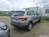  Skoda  Karoq  Business 1.6 TDI 115CV BVA7 E6dT #3