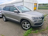  Skoda  Karoq  Business 1.6 TDI 115CV BVA7 E6dT #4