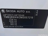  Skoda  KAMIQ SKODA  1.0 TSI 81kW (110CV) DSG Ambition #19