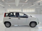  Fiat  Panda FIAT  / 2011 / 5P / BERLINA 1.0 70CV SeS HYBRID #7