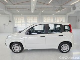  Fiat  Panda FIAT  / 2011 / 5P / BERLINA 1.0 70CV SeS HYBRID #8