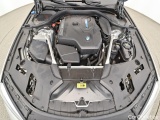  Bmw  Serie 5 PHEV xDrive Aut. (G30) Luxury Line Automatic Petrol/Electric  #29