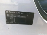  Skoda  KAMIQ SKODA  1.0 TSI 81kW (110CV) DSG Ambition #17