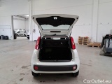  Fiat  Panda FIAT  / 2011 / 5P / BERLINA 1.0 70CV SeS HYBRID #5