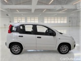  Fiat  Panda FIAT  / 2011 / 5P / BERLINA 1.0 70CV SeS HYBRID #7
