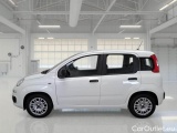 Fiat  Panda FIAT  / 2011 / 5P / BERLINA 1.0 70CV SeS HYBRID #8