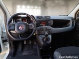  Fiat  Panda FIAT  / 2011 / 5P / BERLINA 1.2 69CV SeS E6D-TEMP EASY #3
