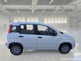  Fiat  Panda FIAT  / 2011 / 5P / BERLINA 1.2 69CV SeS E6D-TEMP EASY #7