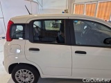  Fiat  Panda FIAT  / 2011 / 5P / BERLINA 1.2 69CV SeS E6D-TEMP EASY #46