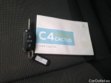  Citroen  C4 Cactus  Feel Business 1.5 BlueHDi 100CV BVM6 E6dT #12