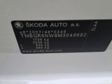  Skoda  KAMIQ SKODA  1.0 TSI 81kW (110CV) DSG Ambition #19