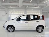 Fiat  Panda FIAT  / 2011 / 5P / BERLINA 1.0 70CV SeS HYBRID #8