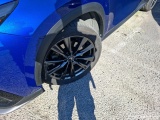  Lexus  NX 300H 2WD F SPORT EXECUTIVE  #22