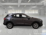  Ford  Kuga FORD  / 2019 / 5P / SUV 1.5 ECOBLUE 120CV 2WD TITANIUM BUS. AUTO #7