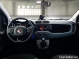  Fiat  Panda FIAT  / 2011 / 5P / BERLINA 1.2 69CV E6D-TEMP EASY #3