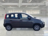  Fiat  Panda FIAT  / 2011 / 5P / BERLINA 1.2 69CV E6D-TEMP EASY #7