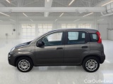  Fiat  Panda FIAT  / 2011 / 5P / BERLINA 1.2 69CV E6D-TEMP EASY #8