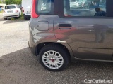  Fiat  Panda FIAT  / 2011 / 5P / BERLINA 1.2 69CV E6D-TEMP EASY #37