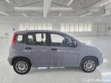  Fiat  Panda FIAT  / 2011 / 5P / BERLINA 1.2 69CV SeS E6D-TEMP EASY #7