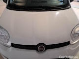  Fiat  Panda FIAT  / 2011 / 5P / BERLINA 1.3 MJT 95CV SeS E6 4X4 #25