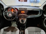  Fiat  Panda FIAT  / 2011 / 5P / BERLINA 1.2 69CV SeS E6D-TEMP EASY #3