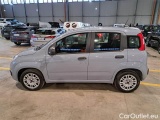  Fiat  Panda FIAT  / 2011 / 5P / BERLINA 1.2 69CV SeS E6D-TEMP EASY #8