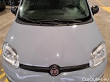  Fiat  Panda FIAT  / 2011 / 5P / BERLINA 1.2 69CV SeS E6D-TEMP EASY #25
