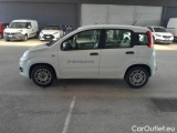  Fiat  Panda FIAT  2016 5P BERLINA 1.3 MJT 95CV SeS E6 EASY #8