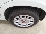  Fiat  Panda  Easy 1.2 51KW MT5 E6dT #18
