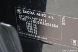  Skoda  Karoq  Ambition 2.0 TDI 110KW MT6 E6d #9