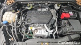  Ford  Focus 1,5 EcoBlue 88kW Cool & Connect Turnier #11