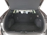  Ford  Kuga  Titanium 1.5 EcoBlue 120CV BVA8 E6dT #10