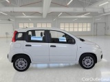 Fiat  Panda FIAT  / 2012 / 5P / BERLINA 1.3 MJT 80 CV VAN EURO6 SeS 4 POSTI EASY #7