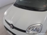  Fiat  Panda FIAT  / 2012 / 5P / BERLINA 1.3 MJT 80 CV VAN EURO6 SeS 4 POSTI EASY #29