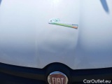  Fiat  Panda FIAT  VAN 2012 1.3 MJT 75CV EU5+VAN CLIMBING 4X4 2P.POP #24