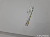  Renault  Master RENAULT  / 2019 / 4P / FURGONE FG TA L2 H2 T33 DCI 135 ICE #57