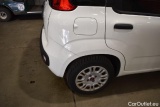  Fiat  Panda  Easy 1.2 51KW MT5 E6dT #23