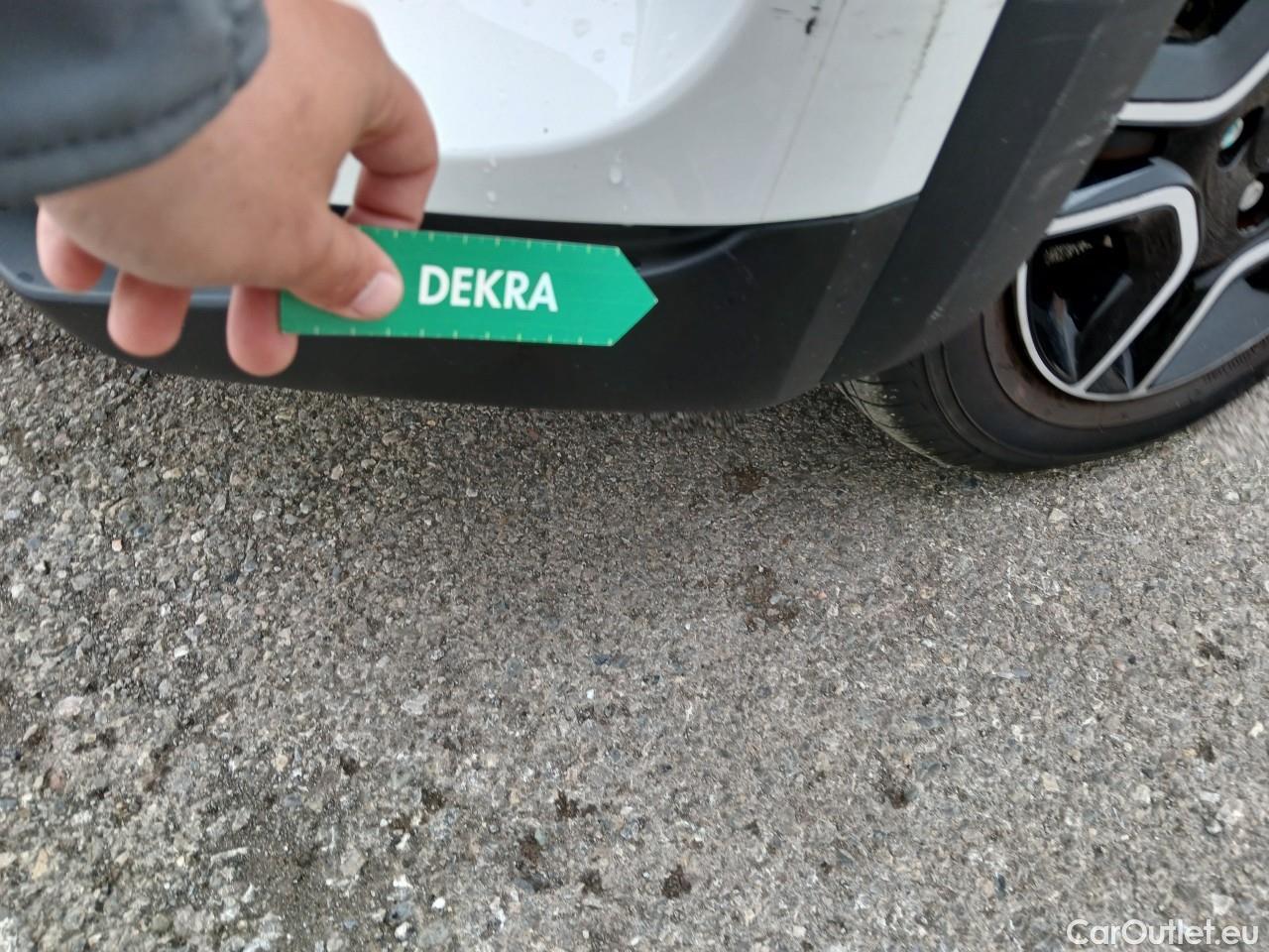  Dacia  Spring  Electric Business 26kWh1 #10