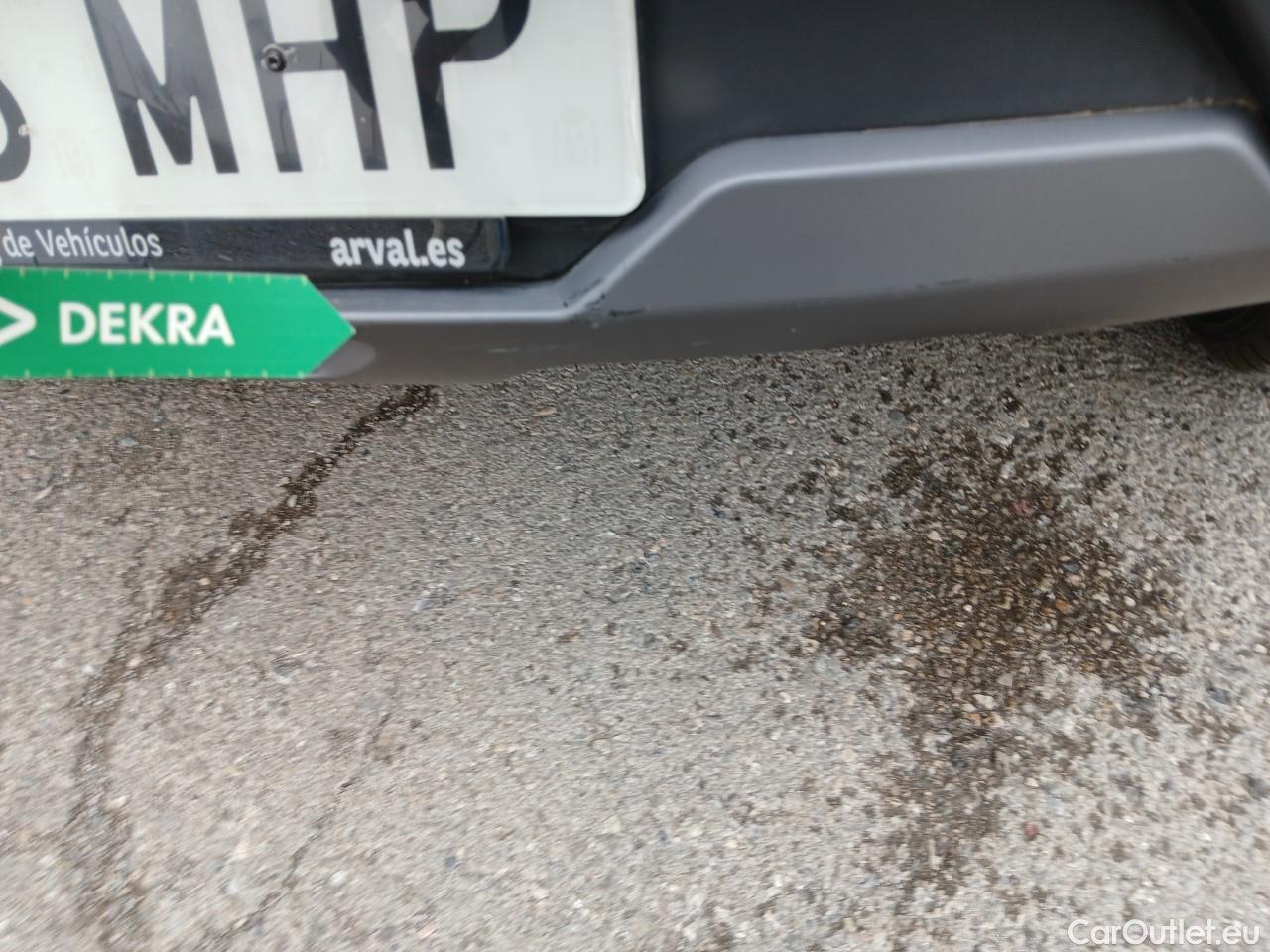  Dacia  Spring  Electric Business 26kWh1 #22