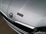  Skoda  Scala 1.6 TDI 116 DSG BUSINESS #51