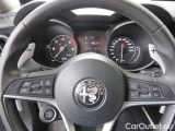  Alfa Romeo   STELVIO 2.2 Turbo Diesel 180CV AT8 RWD Business #8
