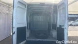  Fiat  Ducato 33 MH2 2.3 Multijet 16V 180CV E6D-temp #18