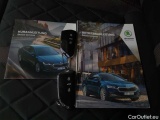  Skoda  Octavia Combi 2.0 TDI DSG 4x4 RS Automatic Diesel  #32