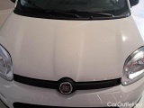  Fiat  Panda FIAT  / 2012 / 5P / BERLINA 1.3 MJT 80 CV VAN EURO6 SeS 4 POSTI EASY #25