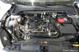  Ford  Focus  Turnier Cool&Connect 1.5 EcoBoost 110KW AT8 E6dT #14