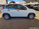  Fiat  Panda FIAT  / 2011 / 5P / BERLINA 1.0 FIREFLY 70CV SeS HYBRID #7